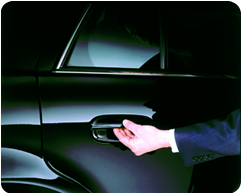 Tokyo Narita airport chauffeured transportation services